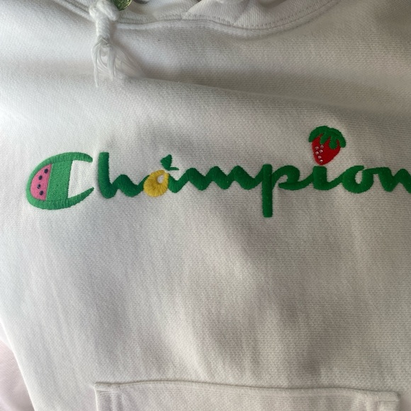 Champion X Susan Alexandra Reverse Weave Strawberry Watermelon Hoodie - Small - Picture 6 of 14
